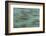 USA, California, Big Sur. Strands of ocean kelp forest.-Jaynes Gallery-Framed Photographic Print