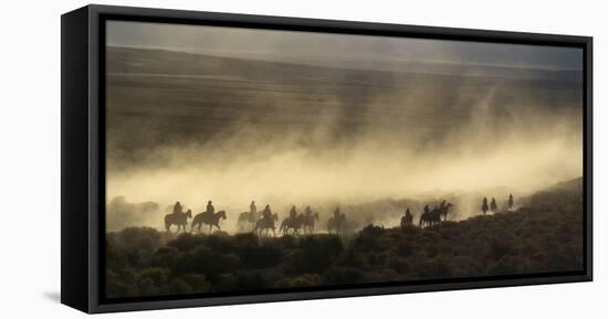 USA, California, Bishop, Cattle Drive in the Eastern Sierra-Ann Collins-Framed Premier Image Canvas