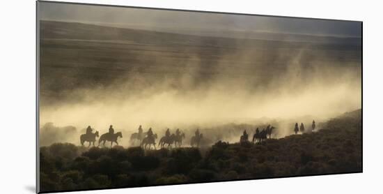 USA, California, Bishop, Cattle Drive in the Eastern Sierra-Ann Collins-Mounted Photographic Print