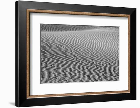 USA, California. Black and white image of windblown sand dune-Judith Zimmerman-Framed Photographic Print