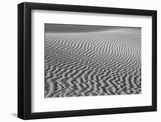 USA, California. Black and white image of windblown sand dune-Judith Zimmerman-Framed Photographic Print