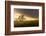 USA, California, Black Butte Lake. Backlit oak trees and grass at sunset.-Jaynes Gallery-Framed Photographic Print