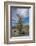 USA, California. Blooming Ocotillo in desert landscape, Anza-Borrego Desert State Park-Judith Zimmerman-Framed Photographic Print