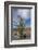 USA, California. Blooming Ocotillo in desert landscape, Anza-Borrego Desert State Park-Judith Zimmerman-Framed Photographic Print