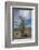 USA, California. Blooming Ocotillo in desert landscape, Anza-Borrego Desert State Park-Judith Zimmerman-Framed Photographic Print