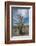 USA, California. Blooming Ocotillo in desert landscape, Anza-Borrego Desert State Park-Judith Zimmerman-Framed Photographic Print