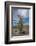 USA, California. Blooming Ocotillo in desert landscape, Anza-Borrego Desert State Park-Judith Zimmerman-Framed Photographic Print