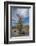 USA, California. Blooming Ocotillo in desert landscape, Anza-Borrego Desert State Park-Judith Zimmerman-Framed Photographic Print