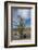 USA, California. Blooming Ocotillo in desert landscape, Anza-Borrego Desert State Park-Judith Zimmerman-Framed Photographic Print