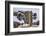 USA, California, Bodie. Close-up of Vintage Car Body in Snowfall-Don Paulson-Framed Photographic Print