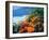 USA, California, California Poppies Along the Pacific Coast-Jaynes Gallery-Framed Premium Photographic Print