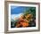 USA, California, California Poppies Along the Pacific Coast-Jaynes Gallery-Framed Photographic Print