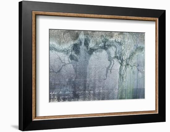 USA, California, Carrizo Plain National Monument. Abstract of oak tree and metal-Jaynes Gallery-Framed Photographic Print