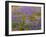 USA, California, Carrizo Plain National Monument, Dense Spring Bloom of Douglas Lupine-John Barger-Framed Photographic Print