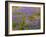 USA, California, Carrizo Plain National Monument, Dense Spring Bloom of Douglas Lupine-John Barger-Framed Photographic Print