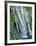 USA, California, Cascade Range, Mcarthur-Burney Falls Memorial State Park-John Barger-Framed Photographic Print