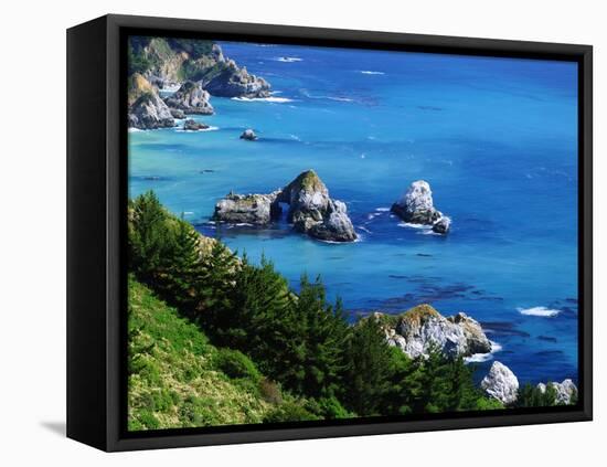 USA, California, Central California Coast-Jaynes Gallery-Framed Premier Image Canvas