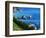 USA, California, Central California Coast-Jaynes Gallery-Framed Photographic Print