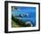 USA, California, Central California Coast-Jaynes Gallery-Framed Photographic Print