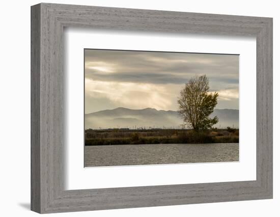 USA, California, Central Valley. San Joaquin River near Firebaugh.-Alison Jones-Framed Photographic Print