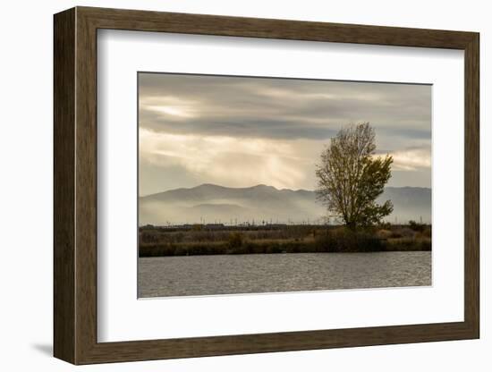 USA, California, Central Valley. San Joaquin River near Firebaugh.-Alison Jones-Framed Photographic Print