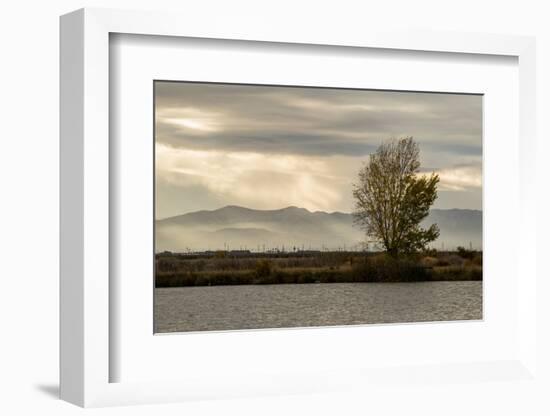 USA, California, Central Valley. San Joaquin River near Firebaugh.-Alison Jones-Framed Photographic Print