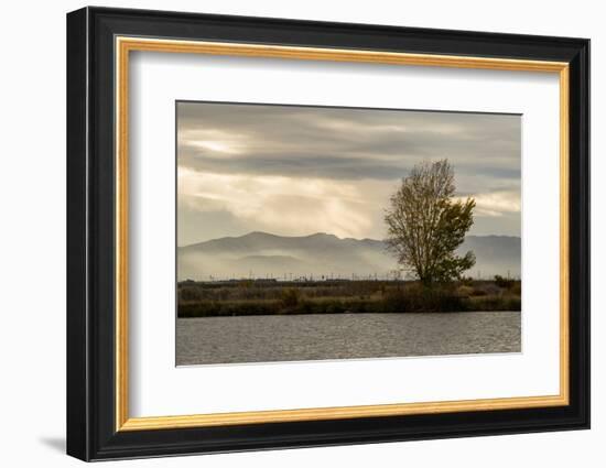 USA, California, Central Valley. San Joaquin River near Firebaugh.-Alison Jones-Framed Photographic Print