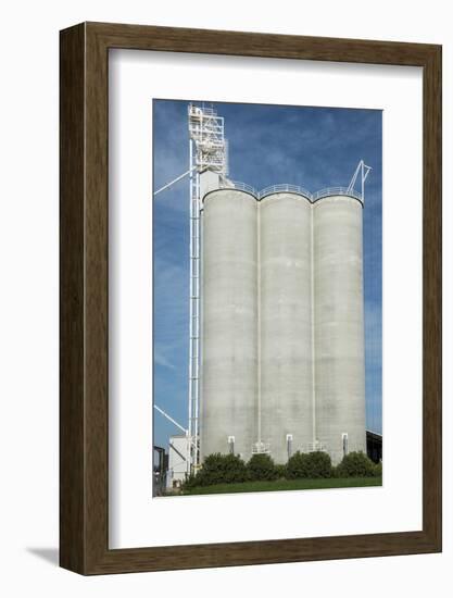 USA, California, Central Valley, San Joaquin River Valley-Alison Jones-Framed Photographic Print