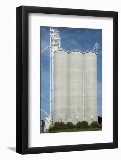 USA, California, Central Valley, San Joaquin River Valley-Alison Jones-Framed Photographic Print