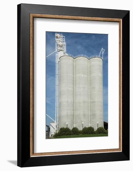 USA, California, Central Valley, San Joaquin River Valley-Alison Jones-Framed Photographic Print