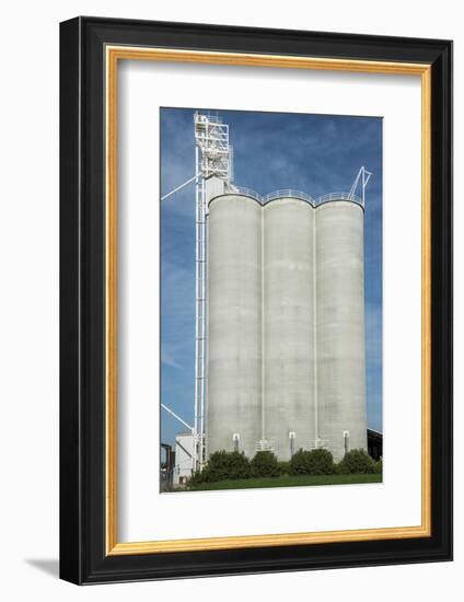 USA, California, Central Valley, San Joaquin River Valley-Alison Jones-Framed Photographic Print