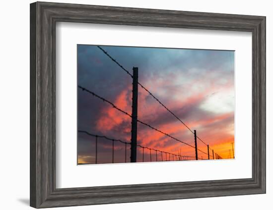 USA, California, Central Valley, Vernalis, off Route 132, sunset-Alison Jones-Framed Photographic Print