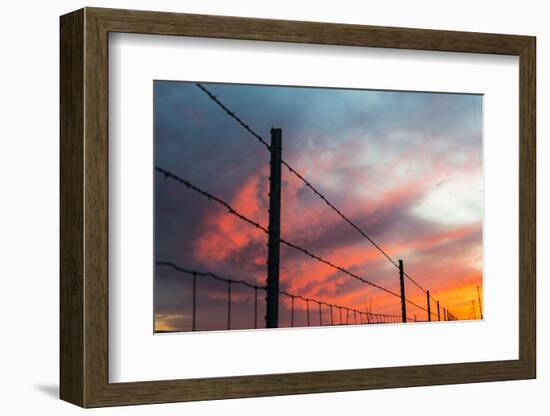 USA, California, Central Valley, Vernalis, off Route 132, sunset-Alison Jones-Framed Photographic Print