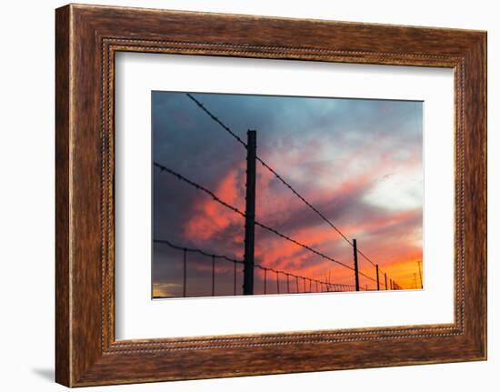 USA, California, Central Valley, Vernalis, off Route 132, sunset-Alison Jones-Framed Photographic Print