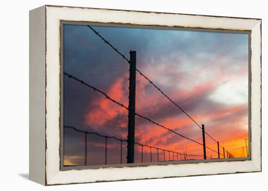 USA, California, Central Valley, Vernalis, off Route 132, sunset-Alison Jones-Framed Premier Image Canvas