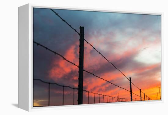 USA, California, Central Valley, Vernalis, off Route 132, sunset-Alison Jones-Framed Premier Image Canvas