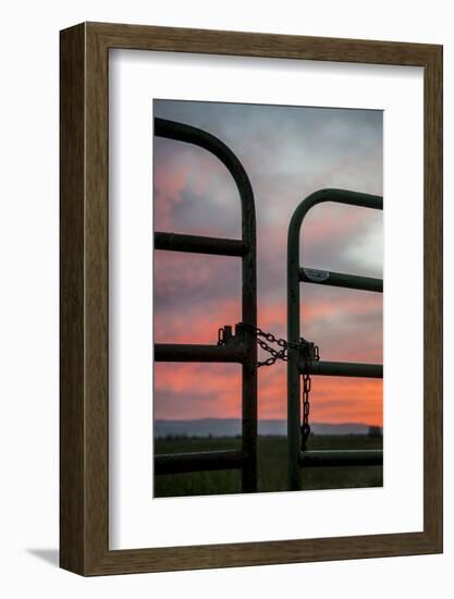 USA, California, Central Valley, Vernalis, Off Rt 132, Sunset-Alison Jones-Framed Photographic Print