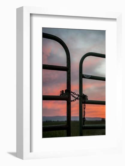 USA, California, Central Valley, Vernalis, Off Rt 132, Sunset-Alison Jones-Framed Photographic Print