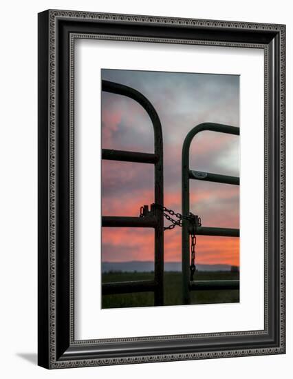 USA, California, Central Valley, Vernalis, Off Rt 132, Sunset-Alison Jones-Framed Photographic Print