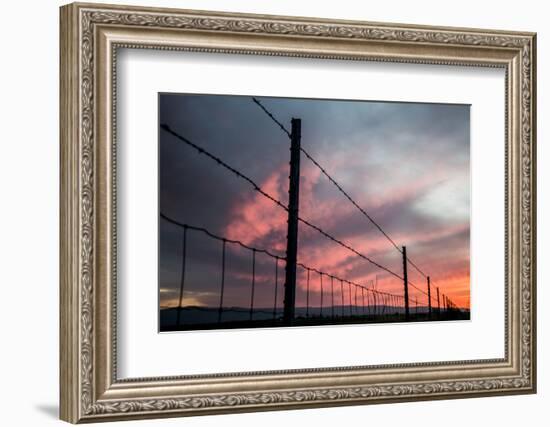 USA, California, Central Valley, Vernalis, Off Rt 132, Sunset-Alison Jones-Framed Photographic Print
