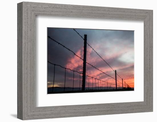 USA, California, Central Valley, Vernalis, Off Rt 132, Sunset-Alison Jones-Framed Photographic Print