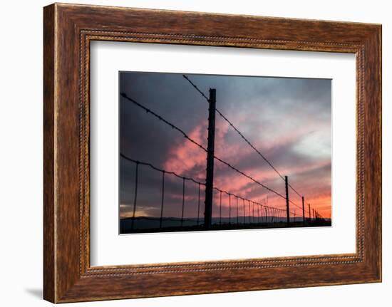 USA, California, Central Valley, Vernalis, Off Rt 132, Sunset-Alison Jones-Framed Photographic Print