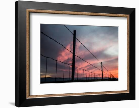 USA, California, Central Valley, Vernalis, Off Rt 132, Sunset-Alison Jones-Framed Photographic Print