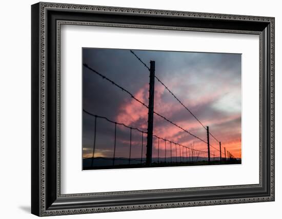 USA, California, Central Valley, Vernalis, Off Rt 132, Sunset-Alison Jones-Framed Photographic Print