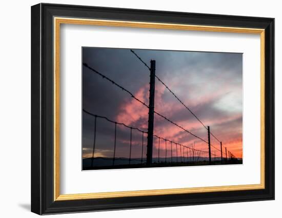 USA, California, Central Valley, Vernalis, Off Rt 132, Sunset-Alison Jones-Framed Photographic Print