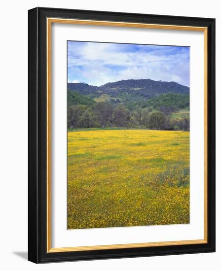 USA, California, Coast Range Mountains, Bear Valley-John Barger-Framed Photographic Print