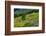 USA, California, Crescent City, Redwoods National Park, Bold Hills-Joe Restuccia III-Framed Photographic Print