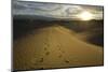 USA, California, Death Valley, Footprints on the dunes at the Mesquite Flat Sand Dunes.-Kevin Oke-Mounted Photographic Print