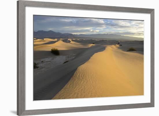USA, California, Death Valley, Mesquite Flat Sand Dunes at sunrise.-Kevin Oke-Framed Premium Photographic Print