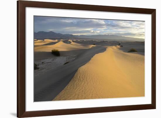 USA, California, Death Valley, Mesquite Flat Sand Dunes at sunrise.-Kevin Oke-Framed Premium Photographic Print